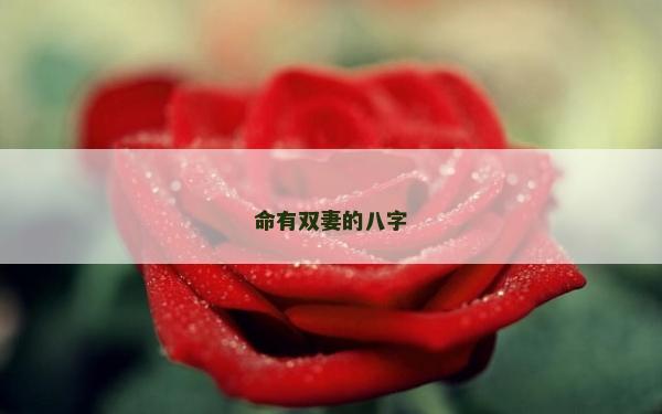 命有双妻的八字