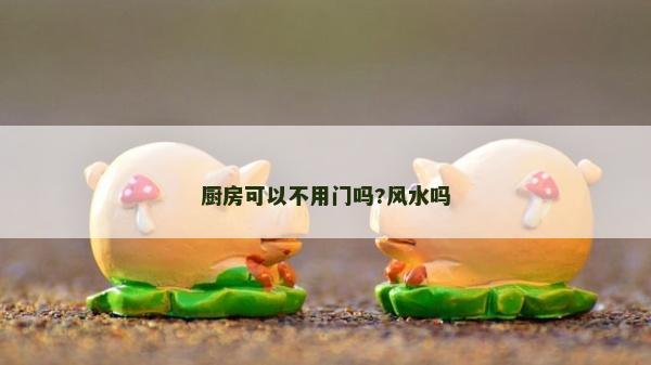 厨房可以不用门吗?风水吗