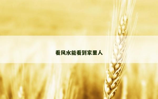 看风水能看到家里人