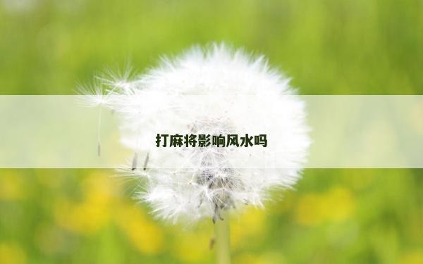 打麻将影响风水吗