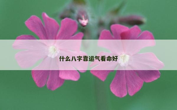 什么八字靠运气看命好