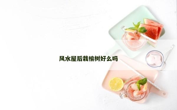 风水屋后栽榆树好么吗