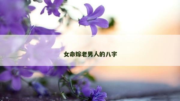 女命嫁老男人的八字