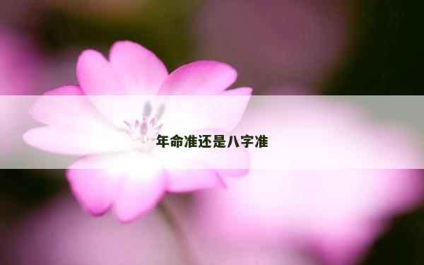 年命准还是八字准