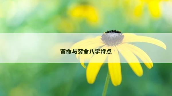 富命与穷命八字特点
