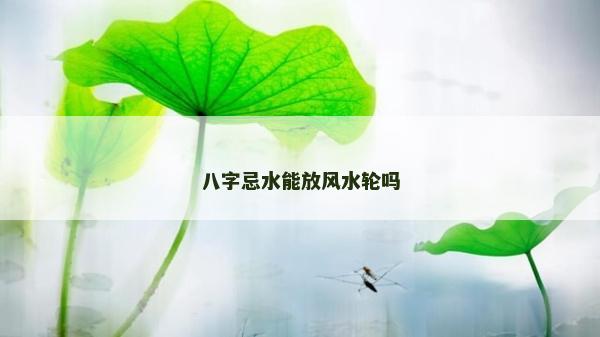 八字忌水能放风水轮吗