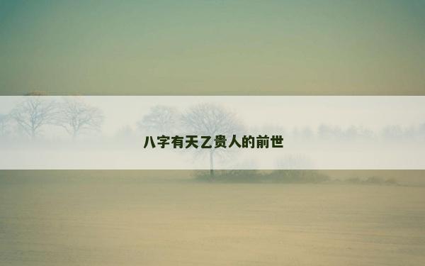 八字有天乙贵人的前世