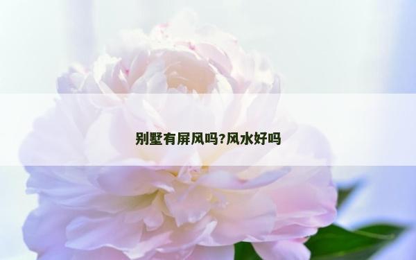 别墅有屏风吗?风水好吗