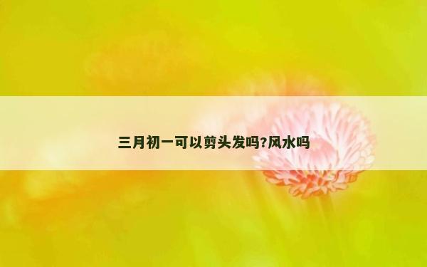 三月初一可以剪头发吗?风水吗