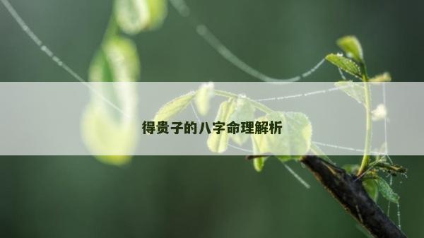 得贵子的八字命理解析