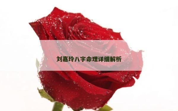 刘嘉玲八字命理详细解析