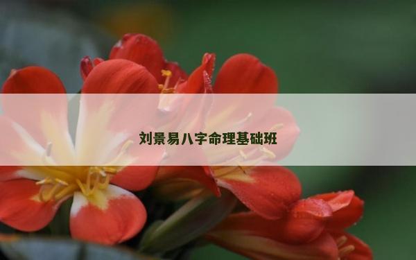 刘景易八字命理基础班
