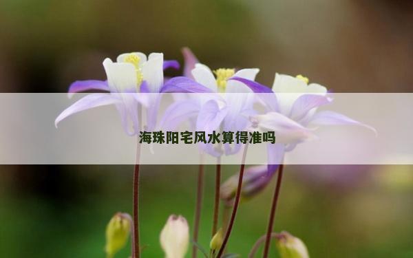 海珠阳宅风水算得准吗