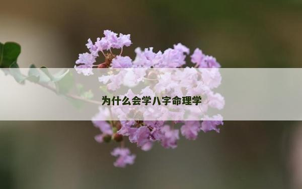 为什么会学八字命理学