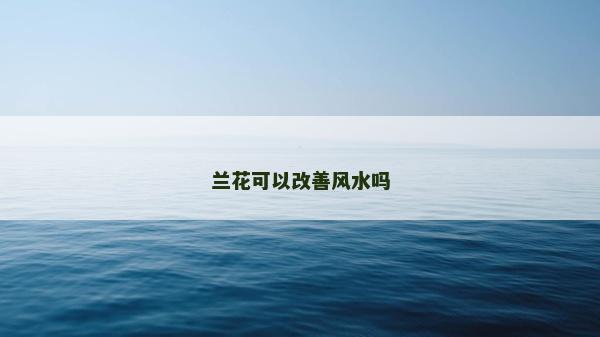 兰花可以改善风水吗