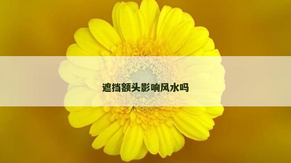 遮挡额头影响风水吗