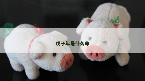 戊子年是什么命