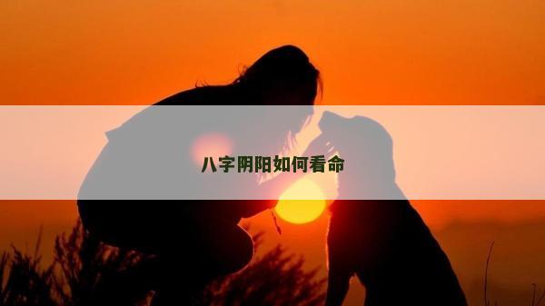 八字阴阳如何看命
