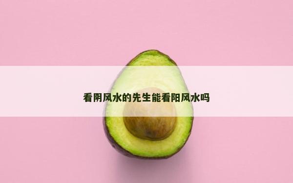 看阴风水的先生能看阳风水吗
