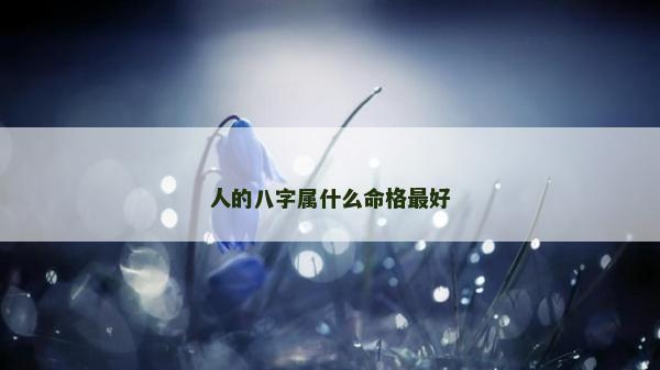 人的八字属什么命格最好