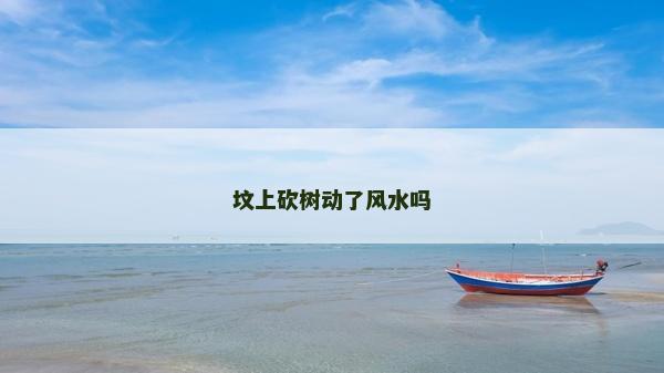 坟上砍树动了风水吗