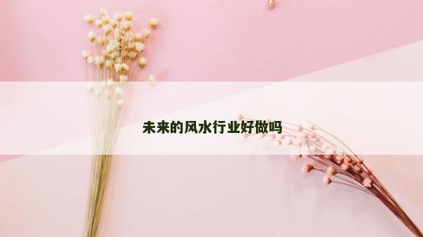 未来的风水行业好做吗