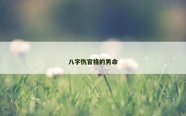 八字伤官格的男命