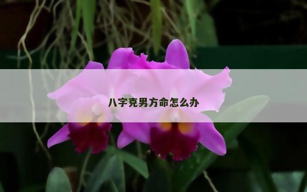 八字克男方命怎么办