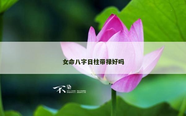 女命八字日柱带禄好吗