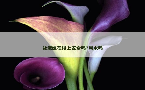 泳池建在楼上安全吗?风水吗
