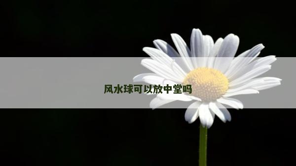 风水球可以放中堂吗