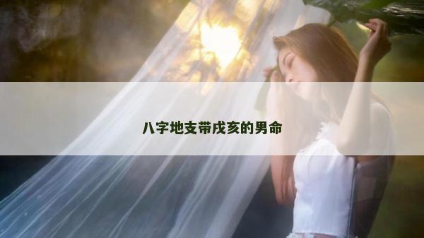 八字地支带戌亥的男命