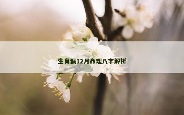 生肖猴12月命理八字解析