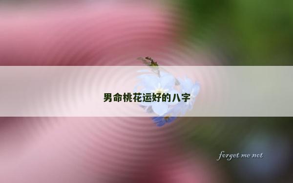 男命桃花运好的八字