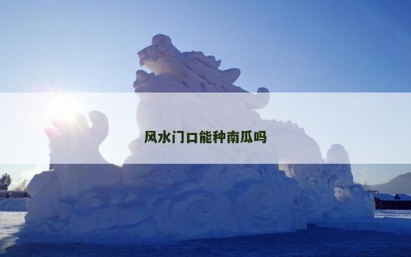 风水门口能种南瓜吗