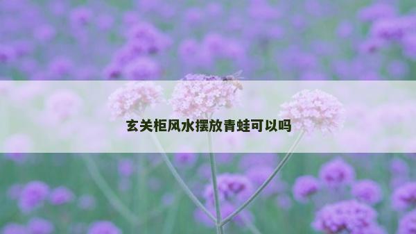 玄关柜风水摆放青蛙可以吗