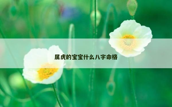 属虎的宝宝什么八字命格