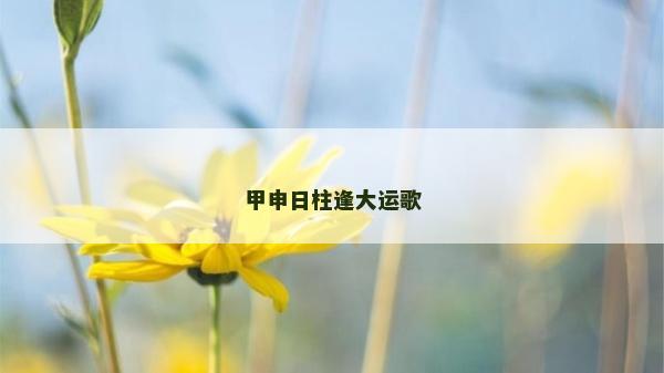 甲申日柱逢大运歌