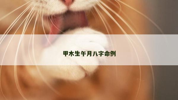 甲木生午月八字命例