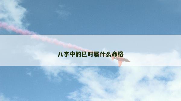 八字中的巳时属什么命格
