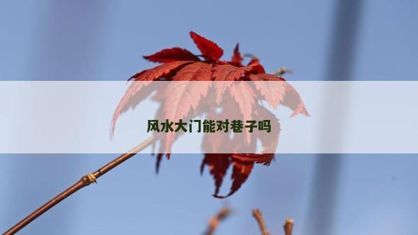 风水大门能对巷子吗