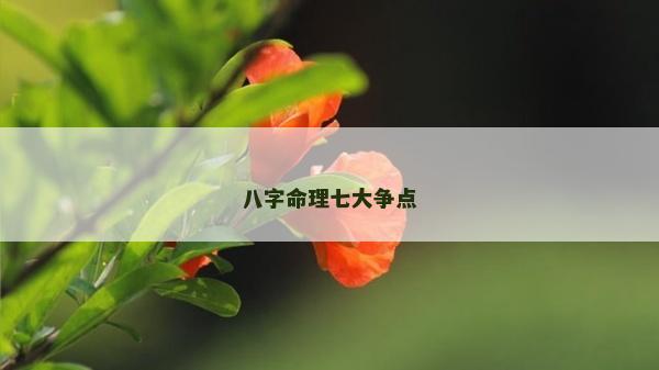 八字命理七大争点