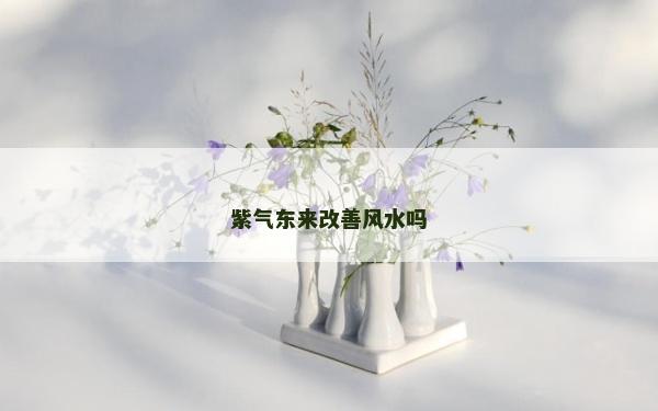 紫气东来改善风水吗