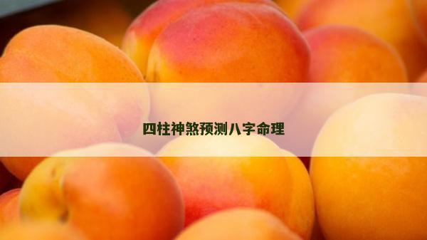 四柱神煞预测八字命理