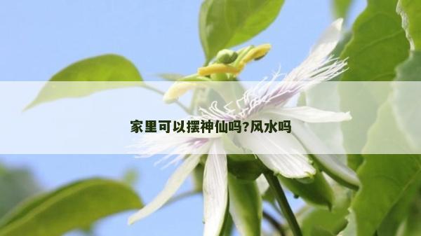 家里可以摆神仙吗?风水吗