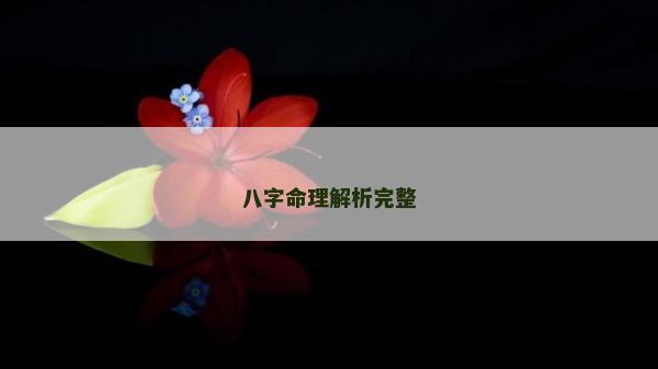 八字命理解析完整
