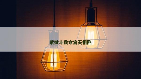 紫微斗数命宫天相陷