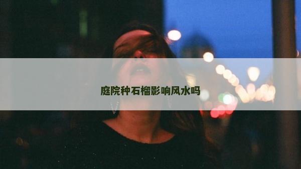 庭院种石榴影响风水吗
