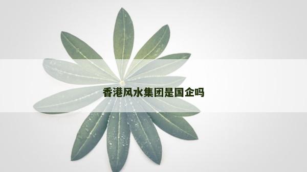 香港风水集团是国企吗