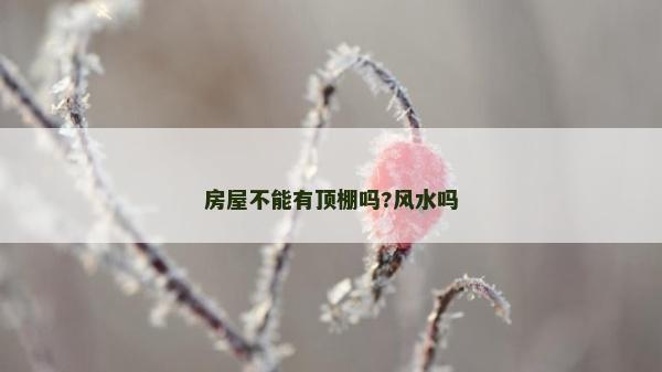 房屋不能有顶棚吗?风水吗